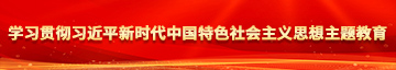 尻女人的逼污学习贯彻习近平新时代中国特色社会主义思想主题教育