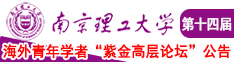 美女干笔南京理工大学第十四届海外青年学者紫金论坛诚邀海内外英才！